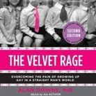 Alan Downs, Alan Downs - The Velvet Rage Lib/E: Overcoming the Pain of Growing Up Gay in a Straight Man's World (Audio book)