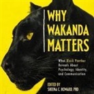 Sheena C. Howard, Various Authors, Sheena C. Howard - Why Wakanda Matters: What Black Panther Reveals about Psychology, Identity, and Communication (Audio book)