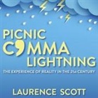 Laurence Scott, Laurence Scott - Picnic Comma Lightning: The Experience of Reality in the Twenty-First Century (Audio book)