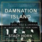 Stacy Horn, Pam Ward - Damnation Island Lib/E: Poor, Sick, Mad, and Criminal in 19th-Century New York (Hörbuch)