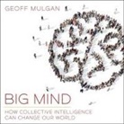 Geoff Mulgan, Julian Elfer - Big Mind: How Collective Intelligence Can Change Our World (Audio book)