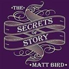 Matt Bird, Eric Michael Summerer - The Secrets of Story Lib/E: Innovative Tools for Perfecting Your Fiction and Captivating Readers (Audio book)