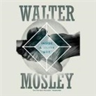 Walter Mosley, Dion Graham - Inside a Silver Box Lib/E (Audio book)