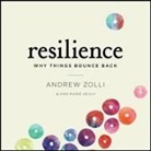 Ann Marie Healy, Anne Marie Healy, Andrew Zolli - Resilience Lib/E: Why Things Bounce Back (Audio book)