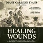 Janet Metzger - Healing Wounds Lib/E: A Vietnam War Combat Nurse's 10-Year Fight to Win Women a Place of Honor in Washington, D.C (Audio book)