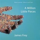 James Frey, L. J. Ganser - A Million Little Pieces Lib/E (Audio book)