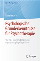 Rainer Sachse - Psychologische Grunderkenntnisse für Psychotherapie
