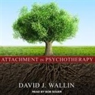 David J. Wallin, Bob Souer - Attachment in Psychotherapy (Audio book)