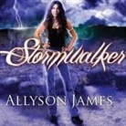 Allyson James, Hillary Huber - Stormwalker (Audio book)