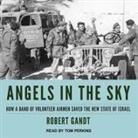 Robert Gandt, Tom Perkins - Angels in the Sky Lib/E: How a Band of Volunteer Airmen Saved the New State of Israel (Hörbuch)