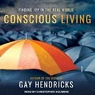 Gay Hendricks, Christopher Solimene - Conscious Living: Finding Joy in the Real World (Audio book)