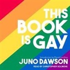 Juno Dawson, Christopher Solimene - This Book Is Gay (Audio book)