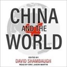 David Shambaugh, Eric Martin, Eric Jason Martin - China and the World Lib/E (Audio book)