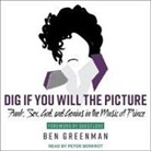 Ben Greenman, Peter Berkrot - Dig If You Will the Picture Lib/E: Funk, Sex, God and Genius in the Music of Prince (Hörbuch)