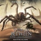 Phoenix Grey, Neil Hellegers - The Realm Between Lib/E: The Evil Within (Hörbuch)