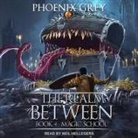 Phoenix Grey, Neil Hellegers - The Realm Between Lib/E: Magic School (Hörbuch)