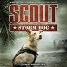 Jennifer Li Shotz, Brian Holden - Scout Lib/E: Storm Dog (Audio book)