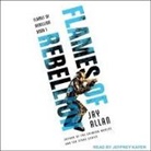 Jay Allan, Jeffrey Kafer - Flames of Rebellion (Hörbuch)