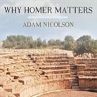 Adam Nicolson, John Lee - Why Homer Matters Lib/E (Audio book)