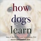 Jon S. Bailey, Mary R. Burch, Christopher Solimene - How Dogs Learn (Audio book)
