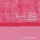 Brian Nelson, Derek Perkins - Émile Zola Lib/E: A Very Short Introduction (Hörbuch)
