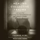Thomas Hübl, Daniel Henning - Healing Collective Trauma Lib/E: A Process for Integrating Our Intergenerational and Cultural Wounds (Audio book)
