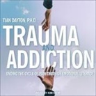 Tian Dayton, Kim Niemi - Trauma and Addiction Lib/E: Ending the Cycle of Pain Through Emotional Literacy (Audio book)