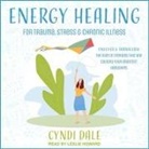 Cyndi Dale, Leslie Howard - Energy Healing for Trauma, Stress & Chronic Illness Lib/E: Uncover & Transform the Subtle Energies That Are Causing Your Greatest Hardships (Audiolibro)
