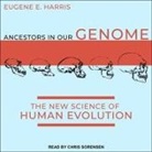Eugene E. Harris, Chris Sorensen - Ancestors in Our Genome Lib/E: The New Science of Human Evolution (Hörbuch)