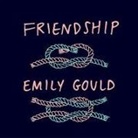 Emily Gould, Amy Rubinate - Friendship Lib/E (Audio book)