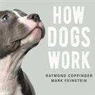 Raymond Coppinger, Mark Feinstein, Chris Sorensen - How Dogs Work (Audio book)