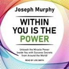 Joseph Murphy, Timothy Andrés Pabon, Joe Smith - Within You Is the Power Lib/E: Unleash the Miracle Power Inside You with Success Secrets from Around the World! (Audiolibro)