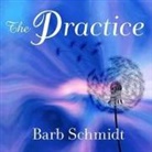 Barb Schmidt, Tracy Brunjes - The Practice Lib/E: Simple Tools for Managing Stress, Finding Inner Peace, and Uncovering Happiness (Audio book)