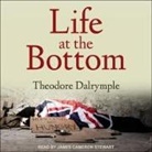 Theodore Dalrymple, James Cameron Stewart - Life at the Bottom: The Worldview That Makes the Underclass (Audio book)