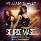 William Stacey, Chelsea Stephens - Source Mage Lib/E (Audio book)
