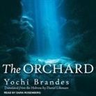 Yochi Brandes, Dara Rosenberg - The Orchard (Audio book)