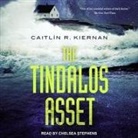 Caitlín R. Kiernan, Chelsea Stephens - The Tindalos Asset (Audio book)