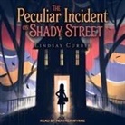 Lindsay Currie, Heather Wynne - The Peculiar Incident on Shady Street (Audio book)