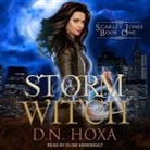 D. N. Hoxa, Elise Arsenault - Storm Witch Lib/E (Audio book)