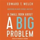 Edward T. Welch, George W. Sarris - A Small Book about a Big Problem: Meditations on Anger, Patience, and Peace (Audio book)