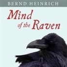 Bernd Heinrich, Norman Dietz - Mind of the Raven: Investigations and Adventures with Wolf-Birds (Audio book)