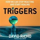 David Richo, Paul Brion - Triggers Lib/E: How We Can Stop Reacting and Start Healing (Hörbuch)
