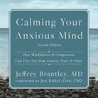 Jeffrey Brantley, Barry Abrams - Calming Your Anxious Mind Lib/E: How Mindfulness and Compassion Can Free You from Anxiety, Fear, and Panic (Audio book)