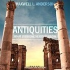Maxwell L. Anderson, Maxwell L. Anderson, David De Vries - Antiquities: What Everyone Needs to Know (Audio book)