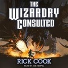 Rick Cook, Joe Hempel - The Wizardry Consulted Lib/E (Audio book)