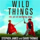 Stephen James, David Thomas, David Colacci - Wild Things: The Art of Nurturing Boys (Audio book)