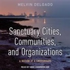 Melvin Delgado, Mike Chamberlain - Sanctuary Cities, Communities, and Organizations: A Nation at a Crossroads (Audio book)