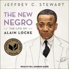 Jeffrey C. Stewart, Bill Andrew Quinn - The New Negro Lib/E: The Life of Alain Locke (Audio book)