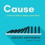 Gregory Smithsimon, P. J. Ochlan - Cause: . . . and How It Doesn't Always Equal Effect Lib/E