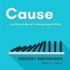 Gregory Smithsimon, P. J. Ochlan - Cause: . . . and How It Doesn't Always Equal Effect Lib/E (Audio book)